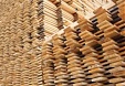 Latvian imports of forestry products grew by 10.7% in H1 Latvian imports of forestry products grew by 10.7% in H1