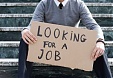 Estonia's youth employment rate hits 15-year high in Q3 Estonia's youth employment rate hits 15-year high in Q3
