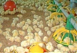 Lielzeltini poultry farm in Latvia grew by 16.3% in FY Lielzeltini poultry farm in Latvia grew by 16.3% in FY