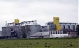Latraps to invest EUR 5.4 mln in grain pre-treatment complex in eastern Latvia Latraps to invest EUR 5.4 mln in grain pre-treatment complex in eastern Latvia