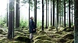 Ikea boosts forest holdings in Lithuania to 15,000 ha Ikea boosts forest holdings in Lithuania to 15,000 ha