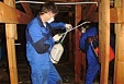 Most work accidents registered at wood processing companies in 2017 in Latvia Most work accidents registered at wood processing companies in 2017 in Latvia