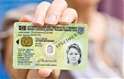 Technical problems disrupt issuance of ID documents in Lithuania Technical problems disrupt issuance of ID documents in Lithuania