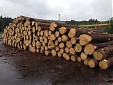Ltfirewood looks for suppliers in Russia, Belarus Ltfirewood looks for suppliers in Russia, Belarus