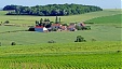 New rules for organic farming: a new Regulation is on the way New rules for organic farming: a new Regulation is on the way