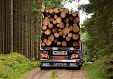 Latvia raises exports of forestry products by 9.5% in 4 months Latvia raises exports of forestry products by 9.5% in 4 months
