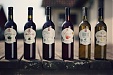 Vine growers want Lithuania added to list of wine-making countries Vine growers want Lithuania added to list of wine-making countries