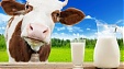 Baltic Dairy Board withdraws application for legal protection process Baltic Dairy Board withdraws application for legal protection process
