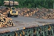 Turnover of association Latvijas Koks timber processing companies rises 15% Turnover of association Latvijas Koks timber processing companies rises 15%