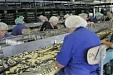 Financial watchdog allows Musu Investiciju Fonds to announce mandatory takeover bid of Brivais Vilnis shares Financial watchdog allows Musu Investiciju Fonds to announce mandatory takeover bid of Brivais Vilnis shares