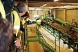 Estonia: Laesti to wind up sawmilling business in Parnu County Estonia: Laesti to wind up sawmilling business in Parnu County