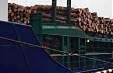 Prices of coniferous round timber in Latvia rose and of deciduous fell Prices of coniferous round timber in Latvia rose and of deciduous fell