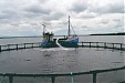 Danish company to start trout farming in Lithuania's Klaipeda Danish company to start trout farming in Lithuania's Klaipeda