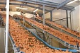 Balticovo turnover at approximately EUR 49 mln in 2018 Balticovo turnover at approximately EUR 49 mln in 2018