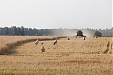 Farmers' demand for loans has significantly increased - Swedbank Farmers' demand for loans has significantly increased - Swedbank