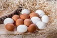 Latvian Agriculture Ministry urges European Commission to monitor Ukrainian egg producers more closely Latvian Agriculture Ministry urges European Commission to monitor Ukrainian egg producers more closely