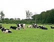 Estonian Agricultural Board calls for tougher punishments for cheating at markets Estonian Agricultural Board calls for tougher punishments for cheating at markets