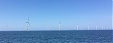 Environmental activists: No legal basis for establishing Northwestern Estonian wind farm Environmental activists: No legal basis for establishing Northwestern Estonian wind farm