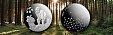 Latvijas Banka is issuing a collector coin "Gifts of the Forest" Latvijas Banka is issuing a collector coin "Gifts of the Forest"