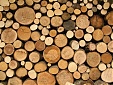 The Coronavirus Has Not Stopped the Global Trade of Forest Products The Coronavirus Has Not Stopped the Global Trade of Forest Products