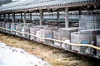 Survey: 58% of Estonians supporting continuation of fur farming Survey: 58% of Estonians supporting continuation of fur farming