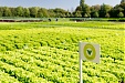 Future of Estonia's organic farming under question Future of Estonia's organic farming under question