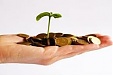 Estonia will invest in start-up companies Estonia will invest in start-up companies