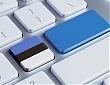 Estonian govt approves allocation of additional EUR 26 mln to public e-service development Estonian govt approves allocation of additional EUR 26 mln to public e-service development