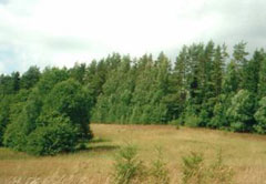 081022_mezi.jpg