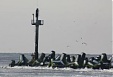 Cargo turnover at Klaipeda Seaport decreased by 9.7% in January Cargo turnover at Klaipeda Seaport decreased by 9.7% in January