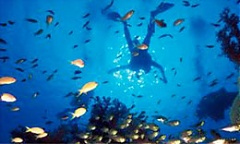 European Commission sets out criteria for clean marine environment 