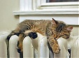 Heat prices to fall by one fifth, once Vilnius, Kaunas heat sectors are reformed Heat prices to fall by one fifth, once Vilnius, Kaunas heat sectors are reformed