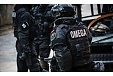 Kidnapping of a state official averted in Latvia - police Kidnapping of a state official averted in Latvia - police