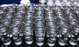 100420_degtine_viln.jpg