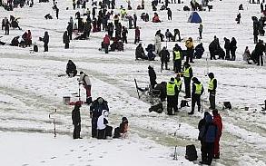 130218_gold_fish_riba_viljandi.jpg