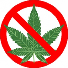 180815_cannabis.png