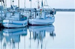 EU farm ministers raise Baltic fish quotas, angering environmentalists EU farm ministers raise Baltic fish quotas, angering environmentalists