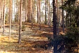 Wood exports from Latvia reached record-high LVL 1.10 – 1.12 bln in 2011 Wood exports from Latvia reached record-high LVL 1.10 – 1.12 bln in 2011