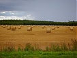 Farming in the EU and the Baltic States: time for change Farming in the EU and the Baltic States: time for change
