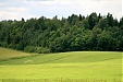 Karbauskis, Zubas, investment fund among biggest land owners in Lithuania Karbauskis, Zubas, investment fund among biggest land owners in Lithuania