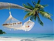 42.2% Latvian tourism companies posted profit in 2012 42.2% Latvian tourism companies posted profit in 2012