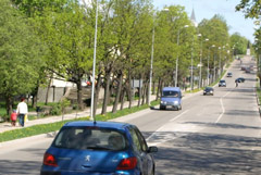 080915_celi_lv.jpg