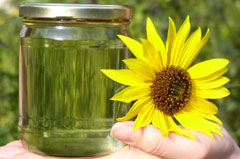 090219_biodiesel.jpg