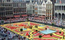 111222_brussel.jpg