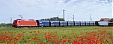 Germany's VTG to include Rail Baltica into its business execution Germany's VTG to include Rail Baltica into its business execution