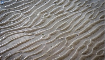 180814_nordstream.jpg 180814_nordstream.jpg