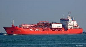 200113_coral_favia.jpg 200113_coral_favia.jpg