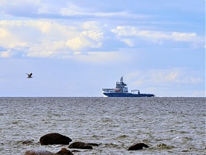 180704_botnica.jpg 180704_botnica.jpg