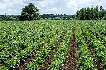 200224_organica_farm.jpg 200224_organica_farm.jpg