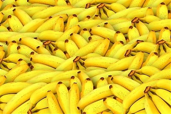 181019_bananas.jpg